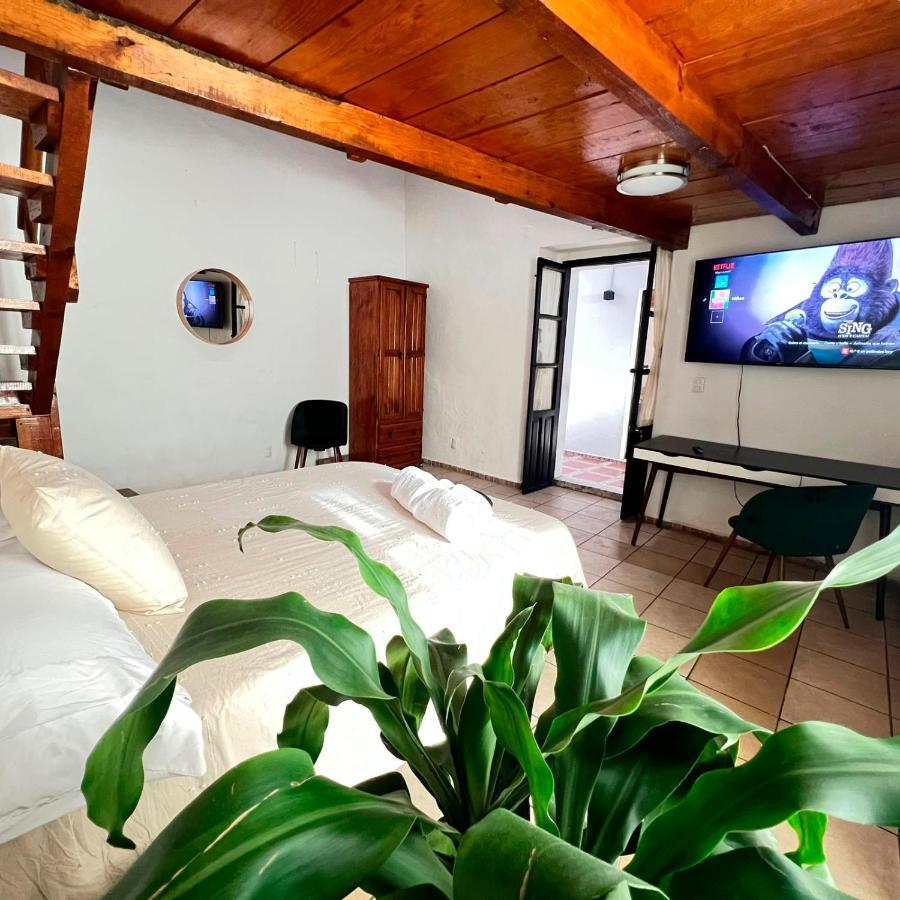 Hostal Luna 49 克雷塔罗 外观 照片